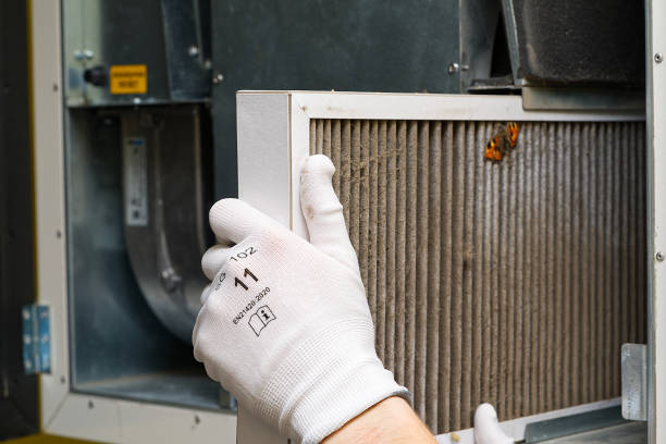 Best Residential Air Duct Cleaning  in Dunnellon, FL