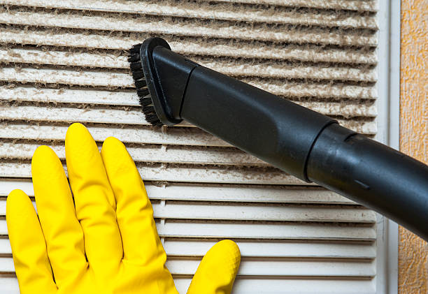 Best Home Air Vent Cleaning  in Dunnellon, FL